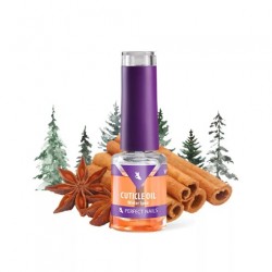 Körömápoló Olaj - Cuticle Oil - Winter Spice 4ml Perfect Nails